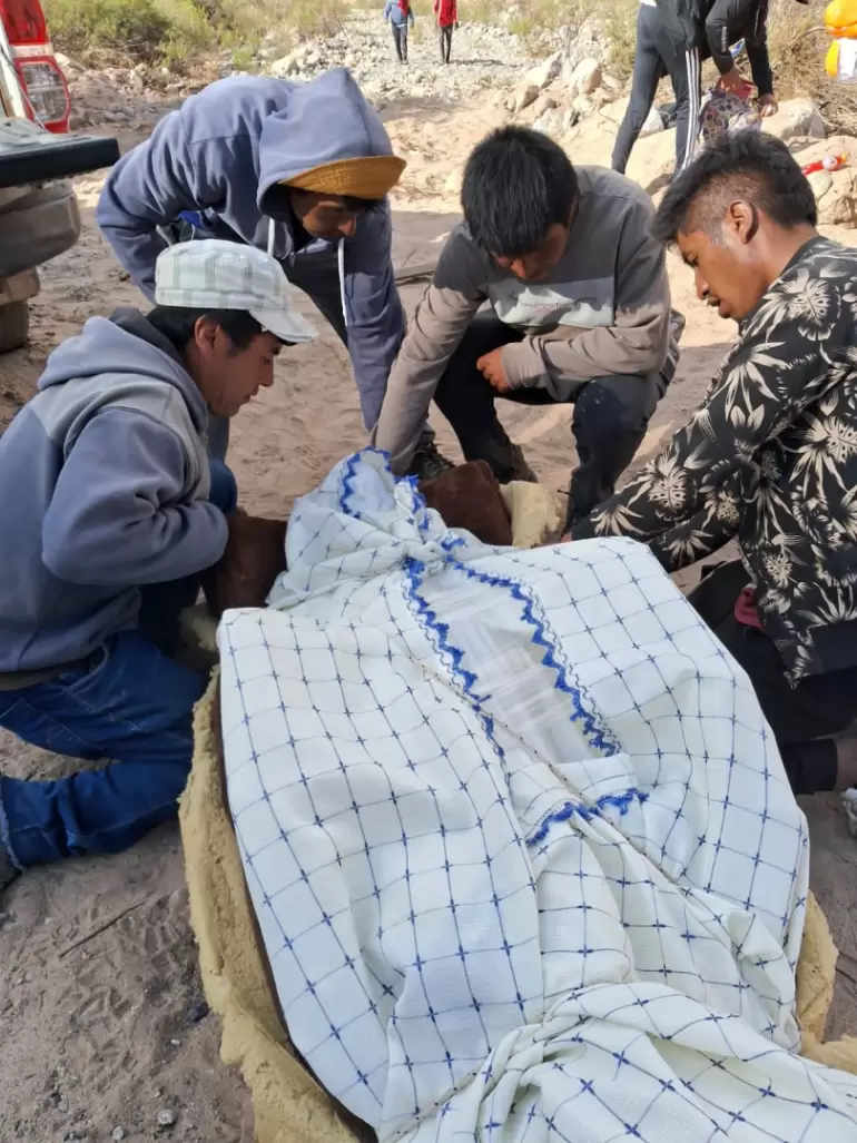 virgen traslado el tolar