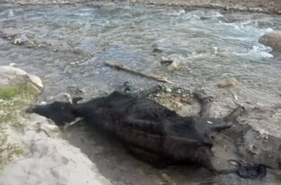 Foto gentileza Multimedios Abaucn