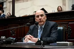 Suspensin de las PASO: el Gobierno negocia con la oposicin y define la estrategia en el Senado