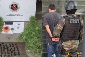 Secuestraron marihuana en la Capital: hay un detenido