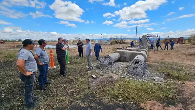telaritos arrasada temporal