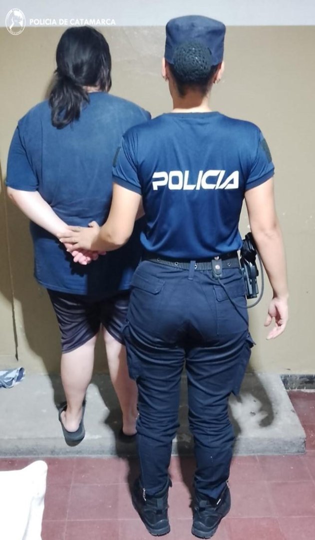 Detienen a una mujer requerida por la justicia por hurto - La Unión Digital