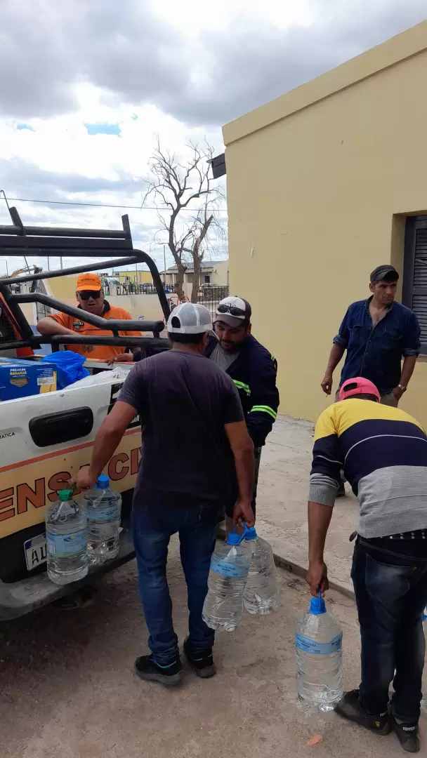 telaritos tras el temporal