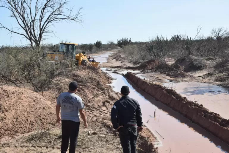 telaritos tras el temporal