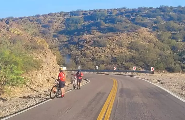 peregrinos diciembre virgen