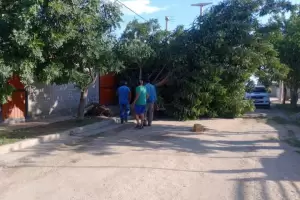 Varias zonas de Andalgal quedaron afectadas por los fuertes vientos