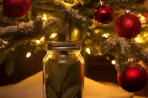 Dnde colocar una hoja de laurel en esta navidad para la buena suerte