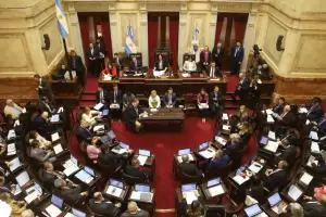 El Senado define si lleva Ficha Limpia al recinto este jueves