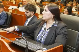 El bloque radical cuestion el Presupuesto 2025