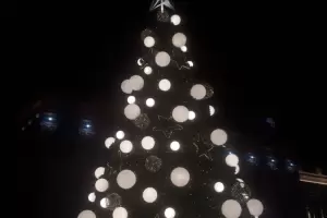 Encendieron el rbol de Navidad en Capital