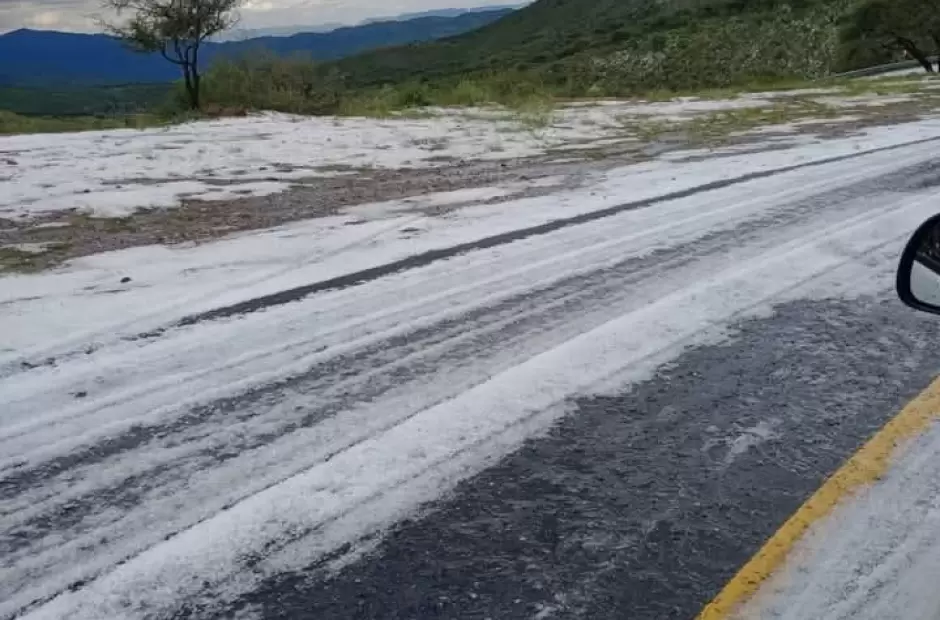 Foto gentileza Diego Zuccon