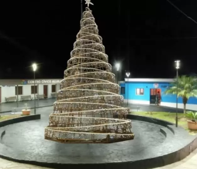 Arbolito en Alijilan, Santa Rosa