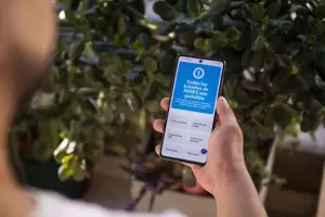 ANSES: Quines cobran este 17 de diciembre?