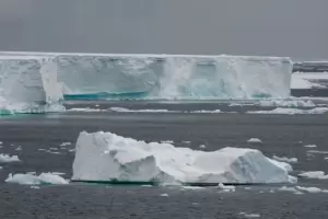 Detectaron al iceberg m�s grande del mundo cerca de las Islas Georgias del Sur