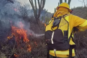 Nuevo incendio en El Hueco Verde: encontraron un bidn de aceite