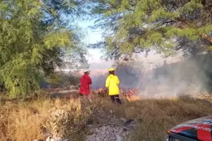 Bomberos sofocaron incendio de pastizales en Capital