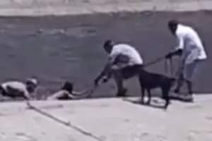 Dram�tico video: rescat� con una correa para perros a dos ni�os que se cayeron a un r�o