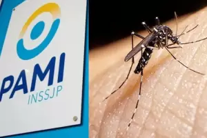PAMI sorprende con un nuevo beneficio contra el dengue: de qu se trata?