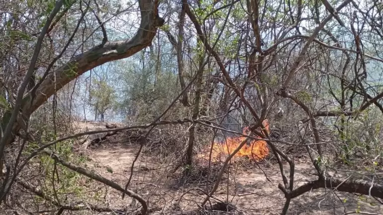 Incendio en la Quebrada de Moreira