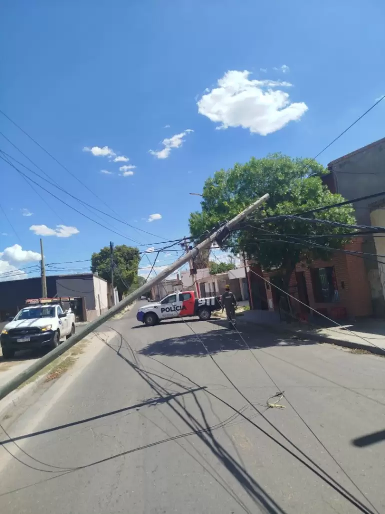 rbol cado arrastra lnea elctrica.