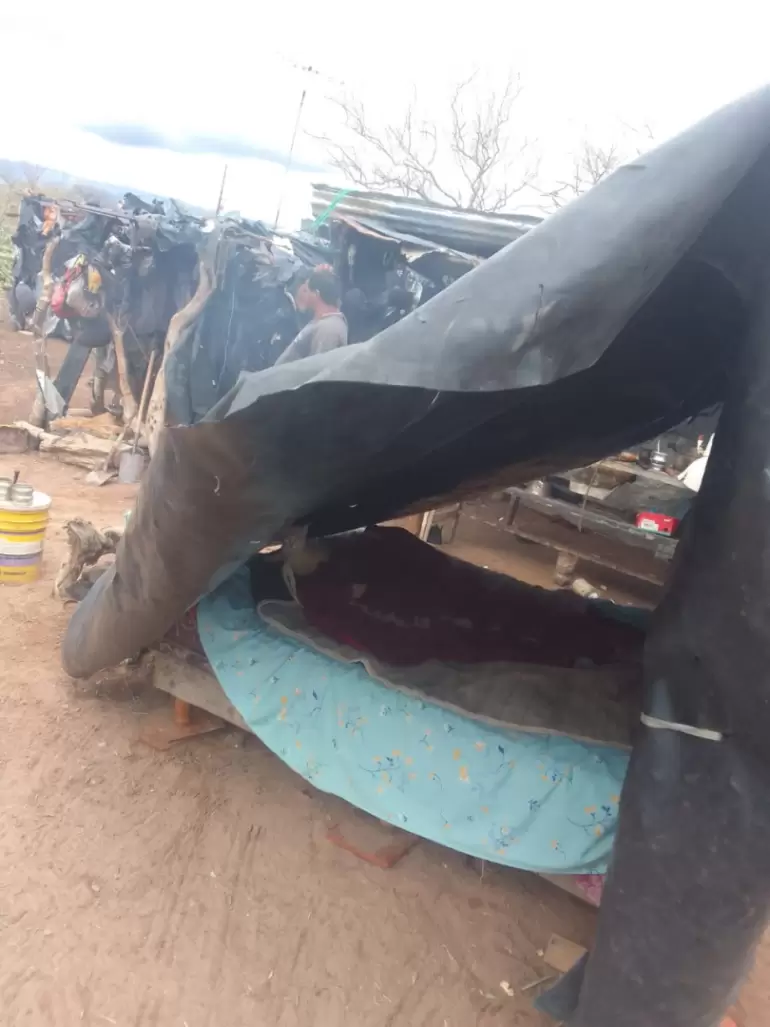 telaritos temporal vecinos