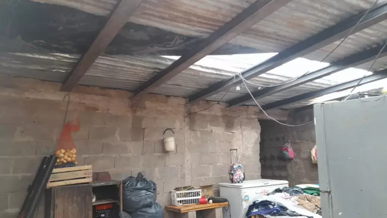 telaritos temporal vecinos