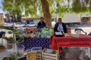 Lanzan una gua de recomendaciones para la inocuidad de alimentos en ferias