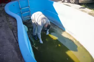 Balance: en los controles focales en toda la provincia, ms de 40 mil viviendas fueron visitadas