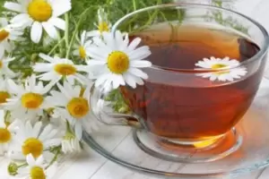 Verano: cules son los beneficios de la manzanilla, un aliado para la temporada de calor