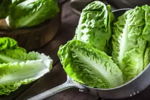 El truco para conservar la lechuga fresca por ms de 60 das