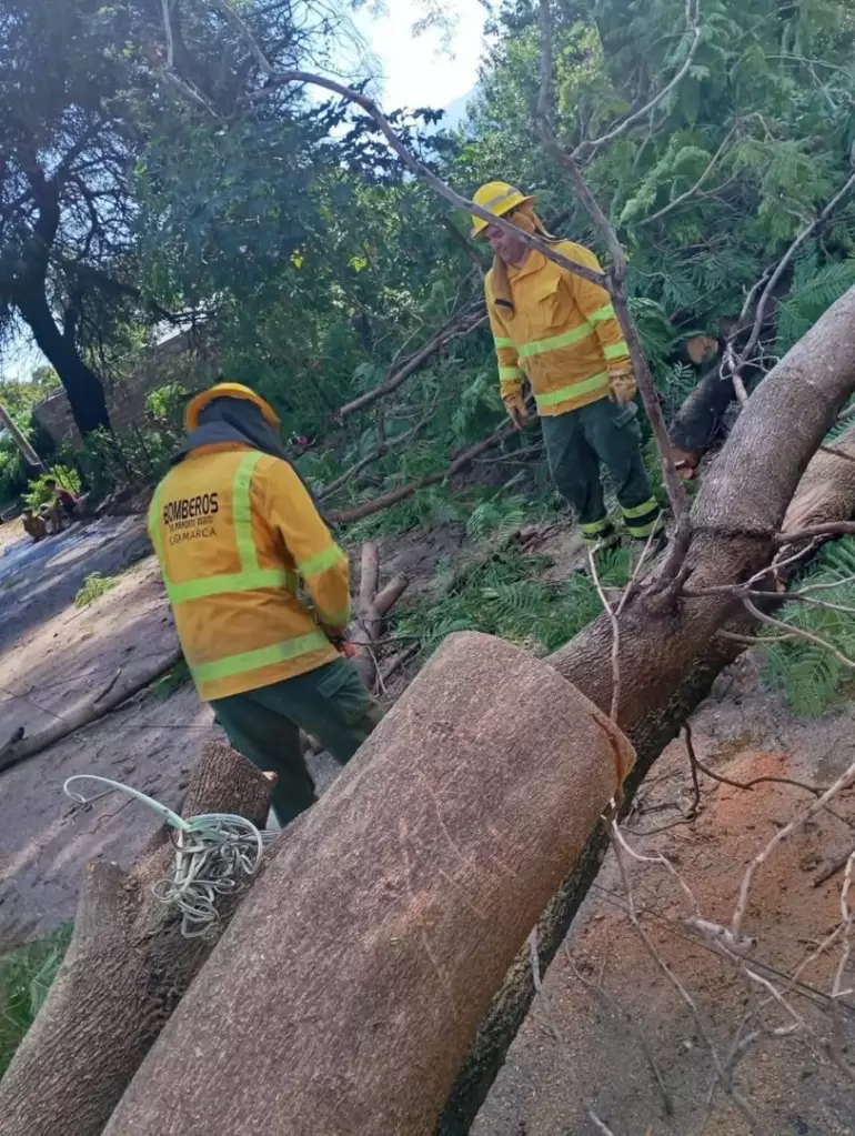 temporal valle viejo