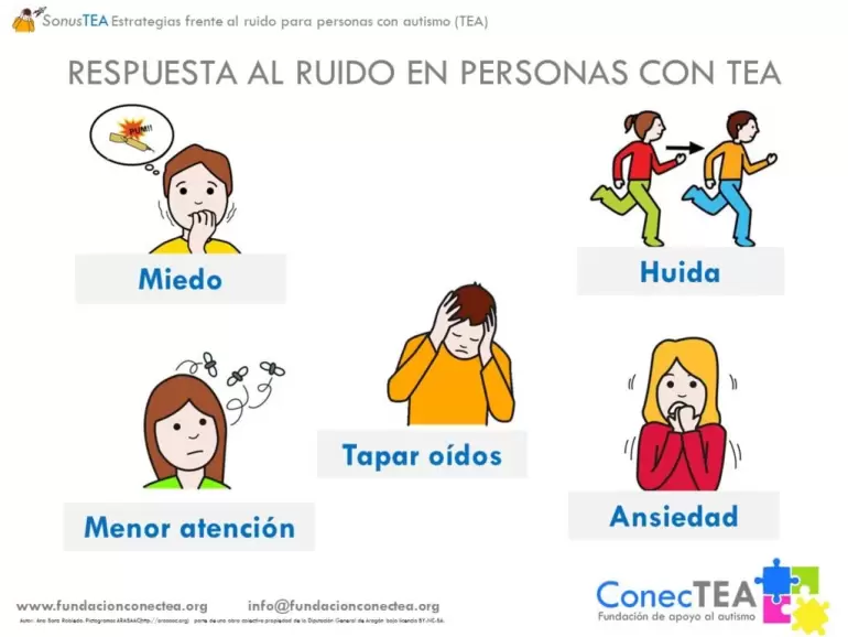 whatsapp image 2024-12-28 at 11.21.36 pm (1)