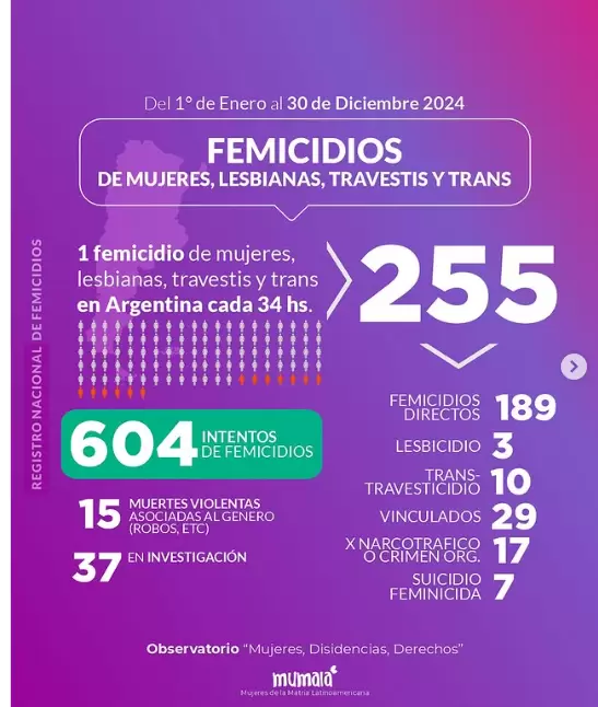 Registro Nacional de Femicidios 2024