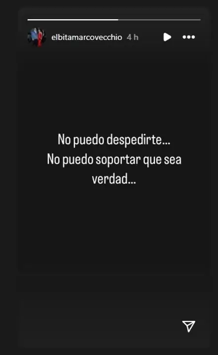 lanata esposa posteo