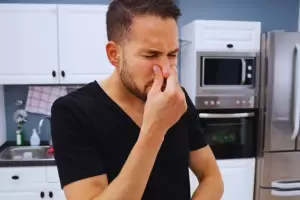 Cmo eliminar el olor a comida frita despus de cocinarla