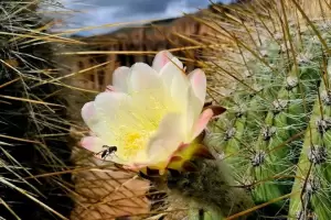 Jornada inestable en Catamarca: as va a estar este mircoles