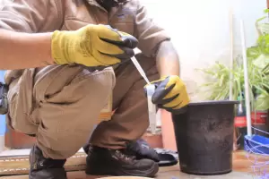 Control focal: este es el cronograma semanal contra el dengue en la Capital