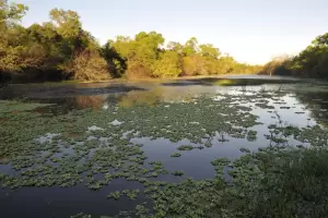 Cules son los mejores destinos de Amrica Central y del Sur para disfrutar en 2025