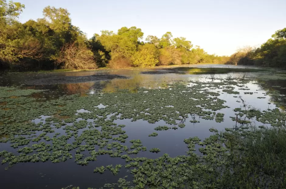 Parque Nacional El Impenetrable, Argentina