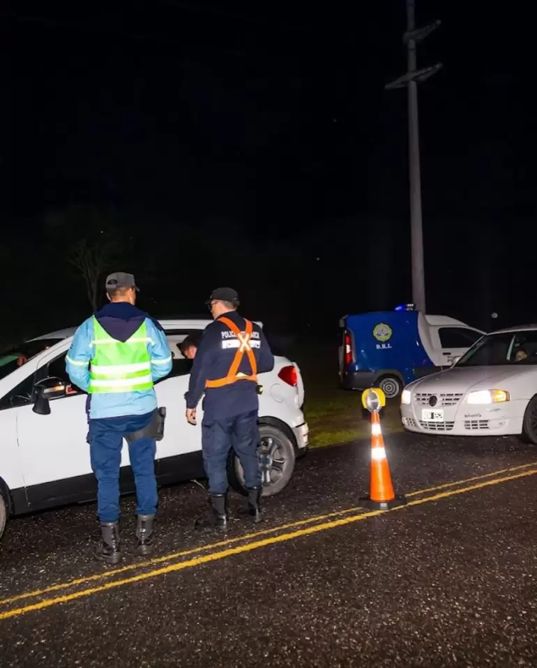 festival zapallo operativo