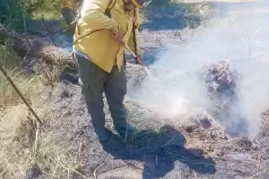 Lograron controlar el incendio en Alijiln
