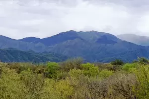 El incendio forestal en Capayn logr ser contenido