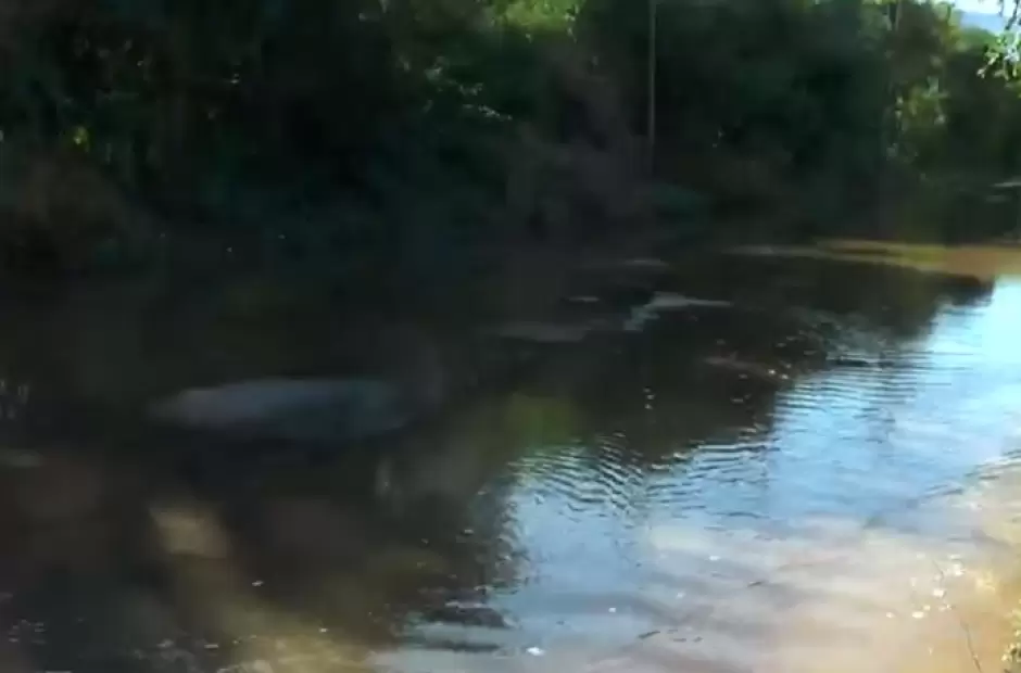 Captura video Radio Valle Viejo