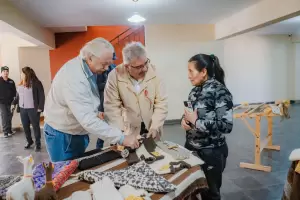 El Gobierno y Loro Piana buscan potenciar la exportacin de lana de vicua