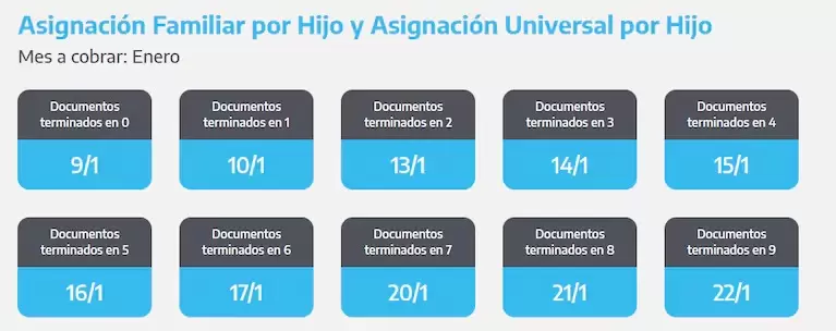 Cundo cobro la AUH en enero 2025 (Foto: ANSES)