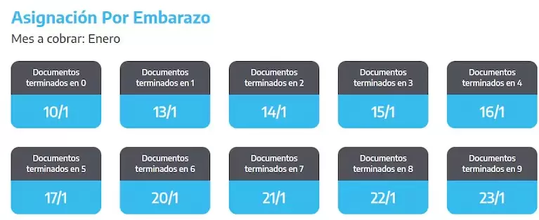 Cundo cobro la AUE en enero 2025 (Foto: ANSES)