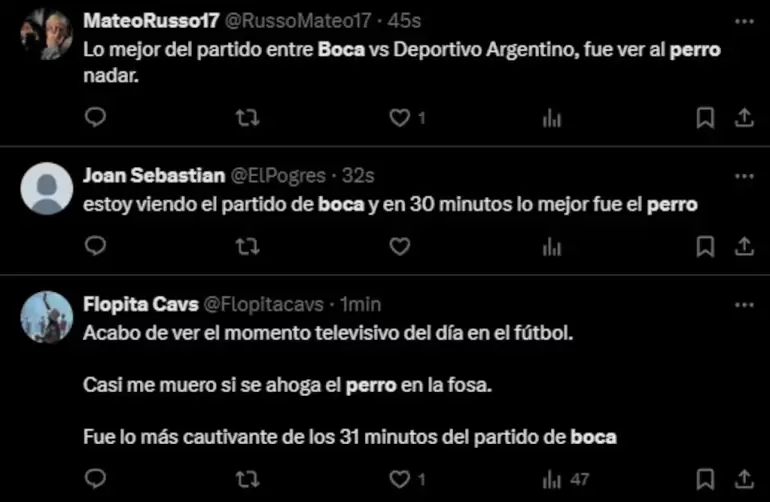 Un perro fue rescatado de la fosa en el partido de Boca por Copa Argentina y las redes sociales se llenaron de reacciones (Captura X)