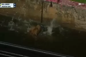 Un perro casi pierde la vida en el partido de Boca y Argentino de Monte Maz