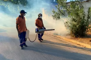Confirmaron el primer caso positivo de dengue en Valle Viejo