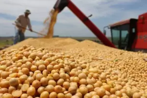 El campo liquid US$ 7.000 millones en solo tres das y el Gobierno dio por terminada la medida